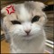 HIT MY SWEETIE✿✿✿