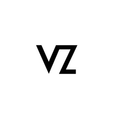 VIZION