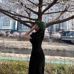 노무현보다 감자