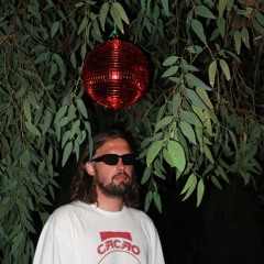 Feel Fly
