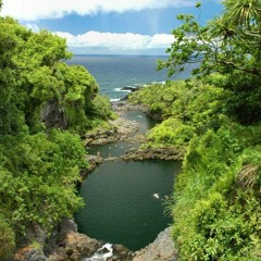 CargoHawaii