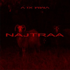 NAJTRAA