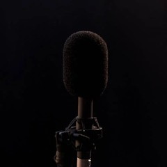A.D.A.M. (A Dynamic Audio Movement)