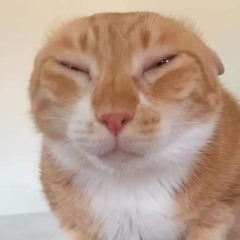 Bax