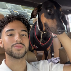 Diggy