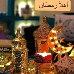sayed_abdo