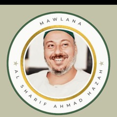 محمد رضا