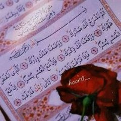 Maha Mohamed