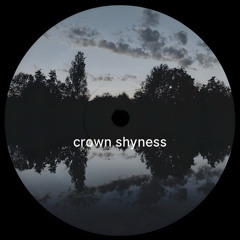 crown shyness