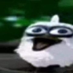 MikiEr