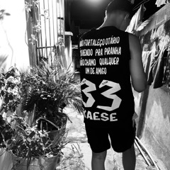 kaese33
