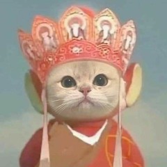 mitbanhbao
