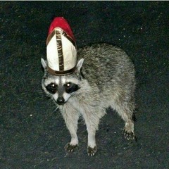 trashpanda princess