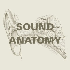 Sound Anatomy