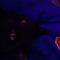 815xancai