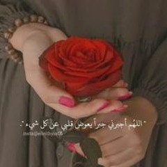 Saly Elsayed
