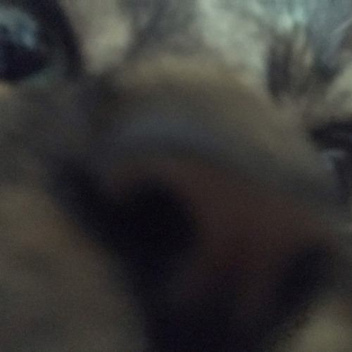 bill cipher in the wrong neighborhood