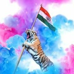 Hari Kattu