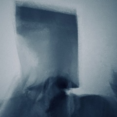 BVGFVC3