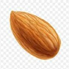 the nut