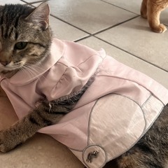Moe