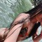 maria jose