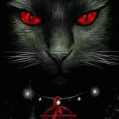 Paulo Cezar Da Silvamd