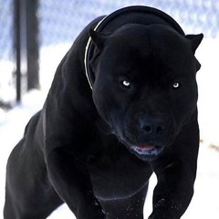 THE HAND THAT BEAT YOU