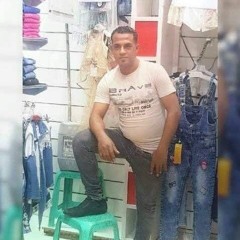 احمد الالفي