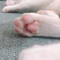 黄亮凡