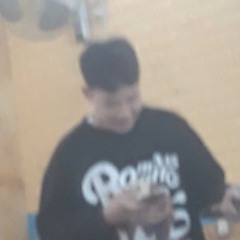 GaAnCam