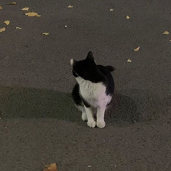 김효윤