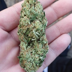 _.420er._