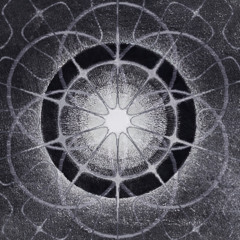 Amplitude Lifeforms