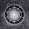 Amplitude Lifeforms