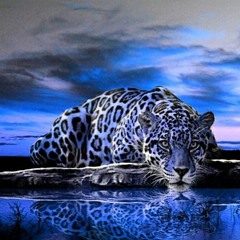 Akwā Ophio ༺ 𓆙 ༻