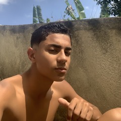 Enzo Luiz Freitas da silva