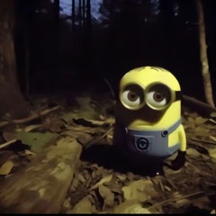 MaximMinon