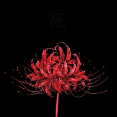 من پس از مرگ درختی خواهم بود