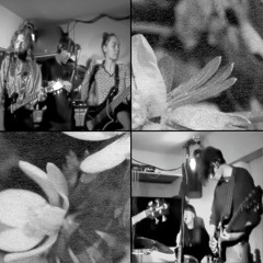 Stirrat, Hayes, Bailey, Baynes & Phillips