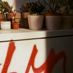 Smalltownalienationinc.