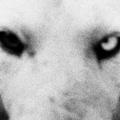 вырви мне зубы