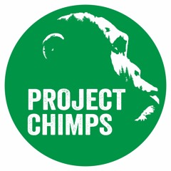Project Chimps