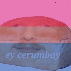 bi-crystal-bish