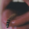 Ping