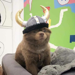 SWetieeBoyy