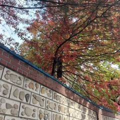 종타쿠 구름이