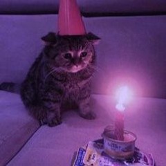 _MR_LIGHT_BOY_