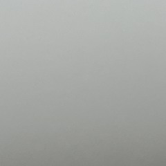 Lil_fogger