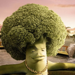 Chocolate Nilla Swirl